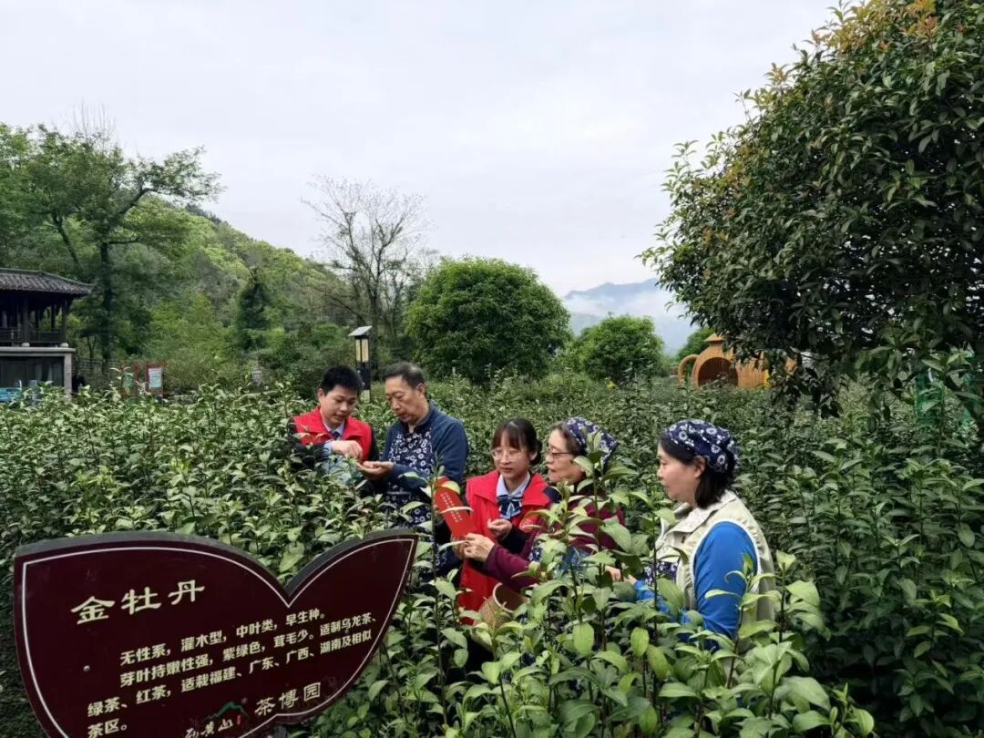 1779846152077042953.jpg 微信图片_2026-05-27_093946_148.jpg