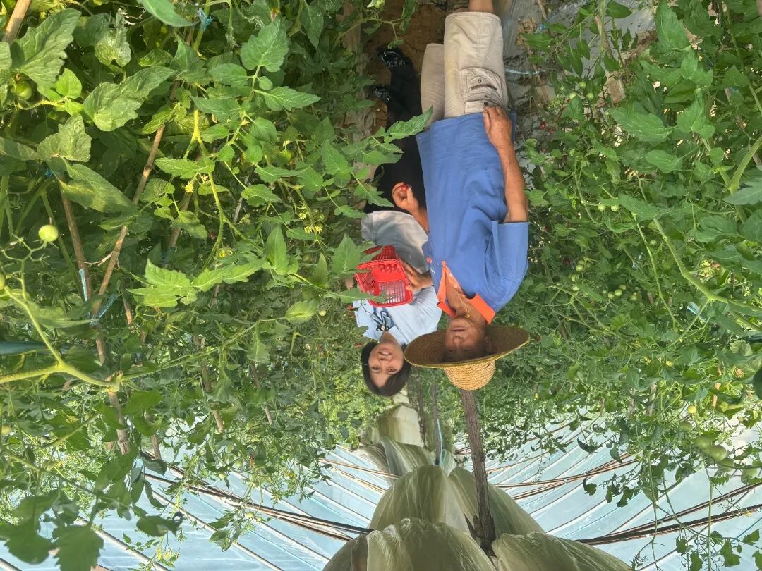 微信图片_2026-06-04_160037_416.jpg
